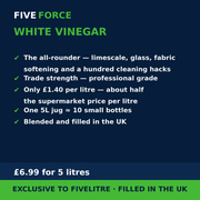 FiveForce White Vinegar 5L benefits — trade strength, £ per litre, exclusive to FiveLitre
