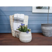Ronseal Fence Life Plus+ Cornflower 5 litre | FiveLitre — bulk sizes, trade prices