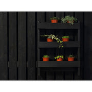 Ronseal Fence Life Plus+ Tudor Black Oak 5 litre | FiveLitre — bulk sizes, trade prices