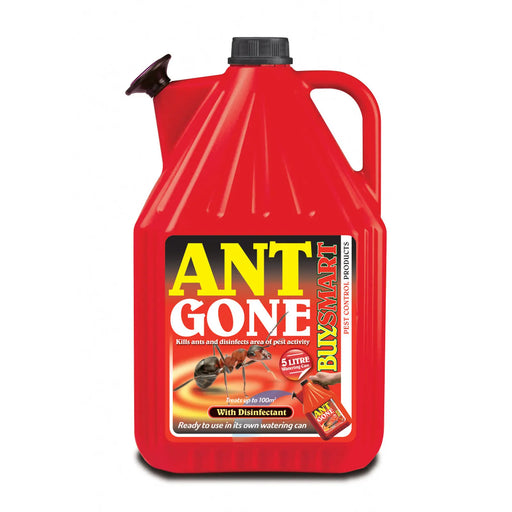 Buysmart Ant Gone Watering Can RTU 5L | FiveLitre — bulk sizes, trade prices